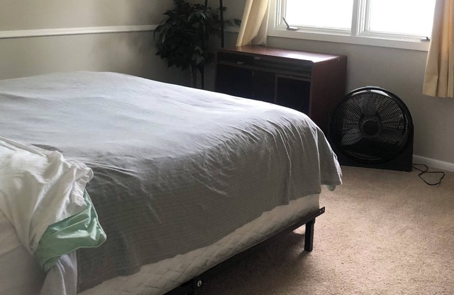 One bedroom apartment