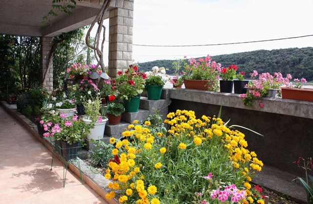 1-Zimmer-Ferienwohnung mit Terrasse und Meerblick Kampor, Rab (A-4984-b)