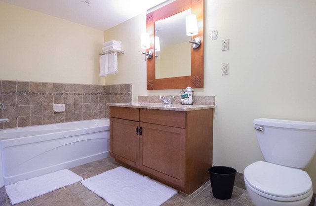 Condo Suite mit einem Schlafzimmer im Appalachian Resort
