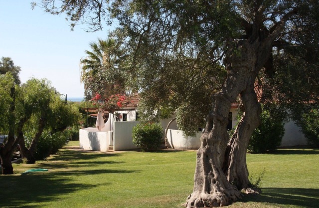 Ein-Zimmer-Villa in Pedras D'el Rei
