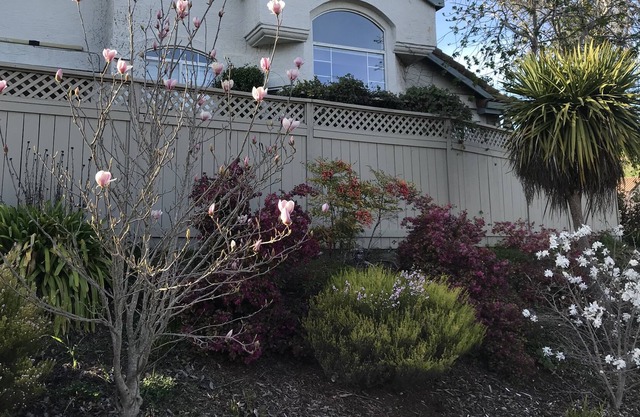One level house near hiking trails
