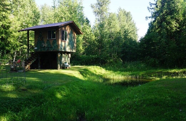 One-room elevated wildlife viewing cabin with a twin bed, chairs, and a small food warming area.