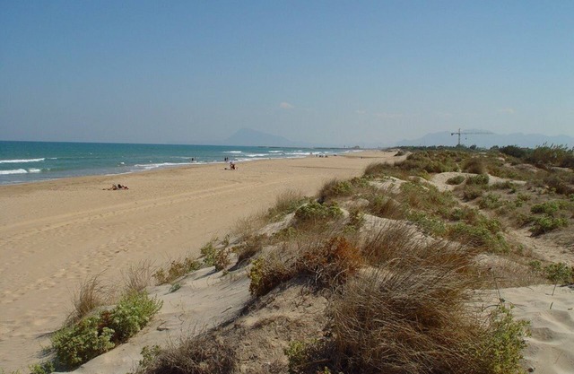 Nur 20 Meter zum Dünen-Strand, Meerblick, Pool, zw.Oliva u.Gandia direkt am Meer