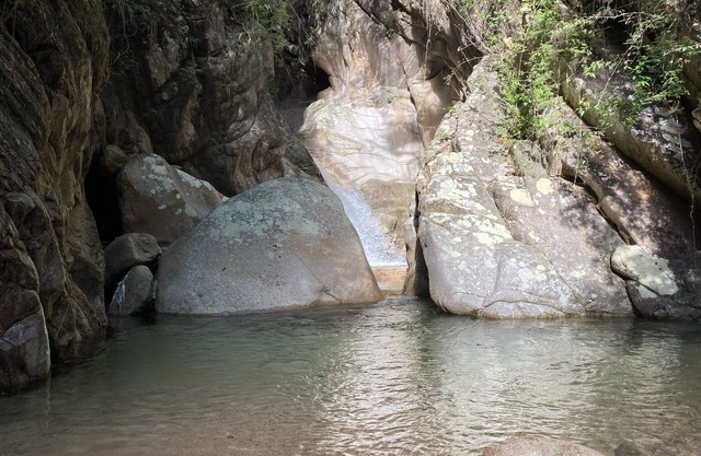 Only 6 km south of Puerto Vallarta the Dragon Fly House is located in Nogalito