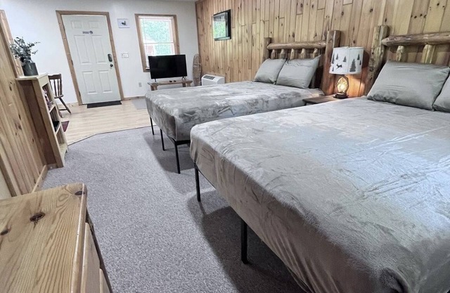 Open Floor Plan Two Queen Bedroom in Manistee National Forest #3