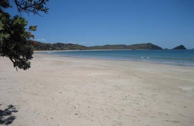 Opito Bay - Ein Stück Paradies auf dem Coromandel