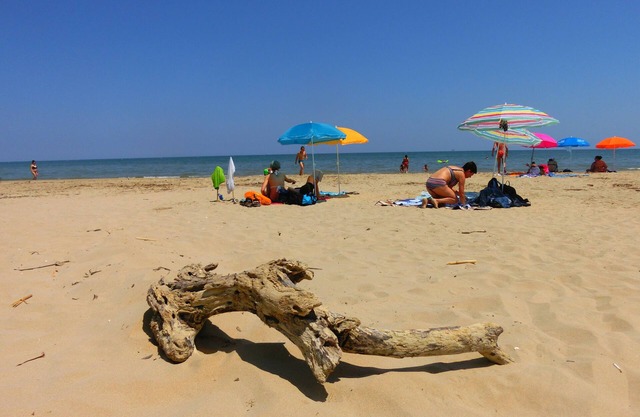 Bio Urlaub zwischen Meer und Berge von Abruzzen App. "IL SOLE"