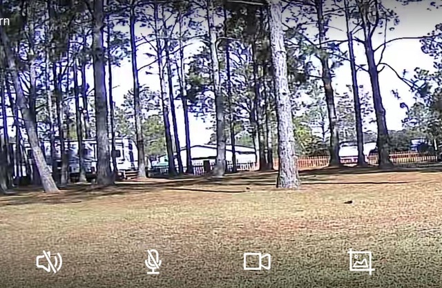 Orange Beach/Gulf Shores Primitive Camping Area.