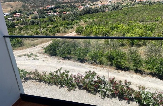 Orange Grove Residence