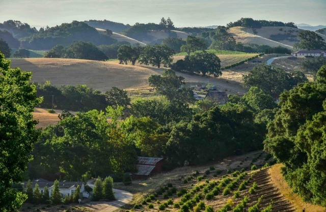 Orchard Hill Farm - Eleganter Komfort in der begehrten West Side Paso Robles