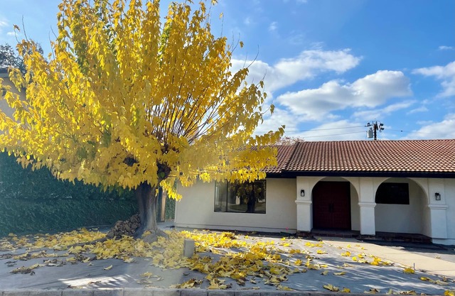 Organic Soulful Ojai Oasis - newly renovated