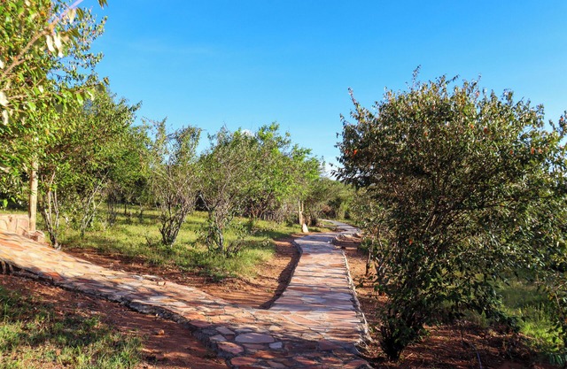 Orngatuny Mara King Camp