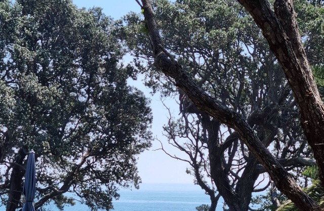 Komm mit mir ans Meer