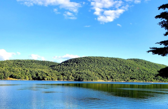 Our happy place - Spectacular views and wildlife!