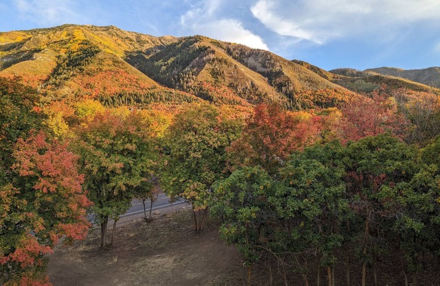 Outdoor Lover's dream