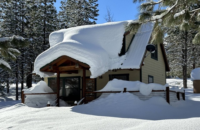 Owl Moon Cabin - Rare jewel of a cabin located inside Yosemite National Park