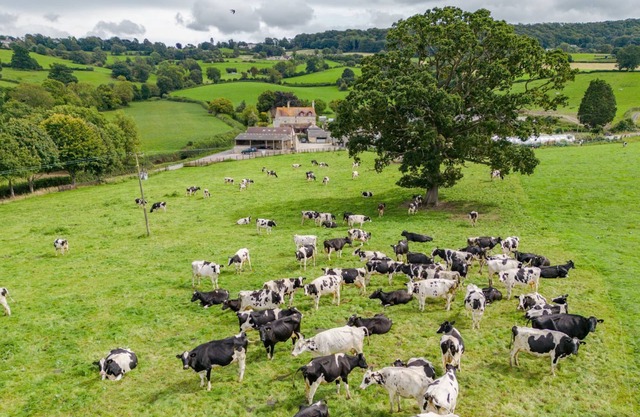 Owls Nest Barn - sleeps 9 guests in 4 bedrooms