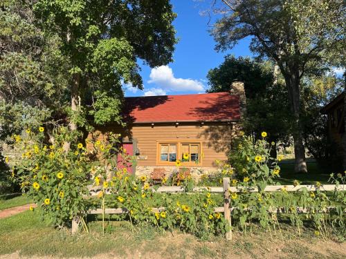 Pack Creek ~ Meadow House