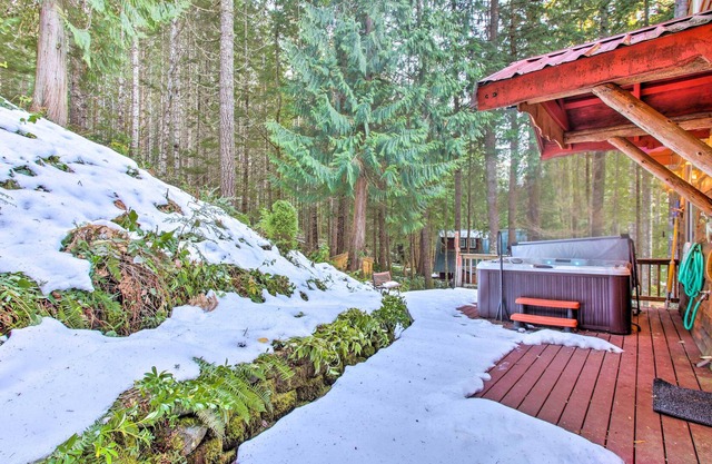 Packwood Cabin Retreat w/ Private Hot Tub!