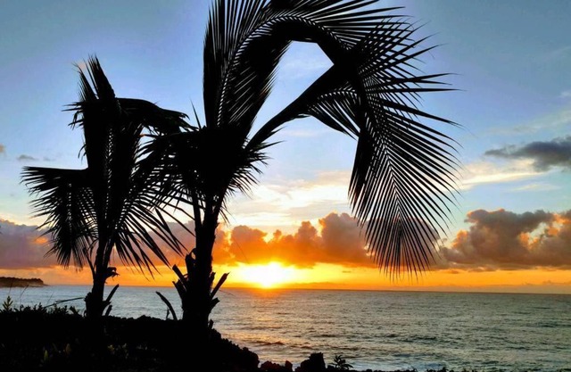 Pahoa Tropical Garden Getaway