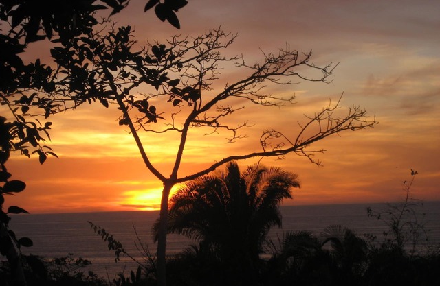 Palapa Papalillo in Selva del Mar.