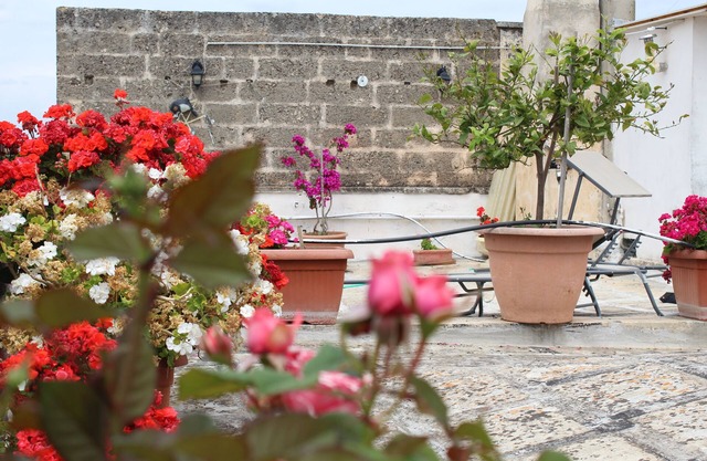 --- Palazzo Retrò, mit einer Terrasse mit Blick auf das historische Zentrum von Nardò ---