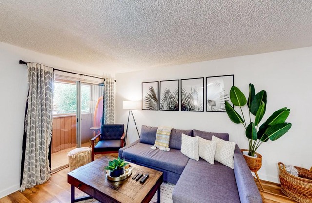 Palm Springs Boho Bliss