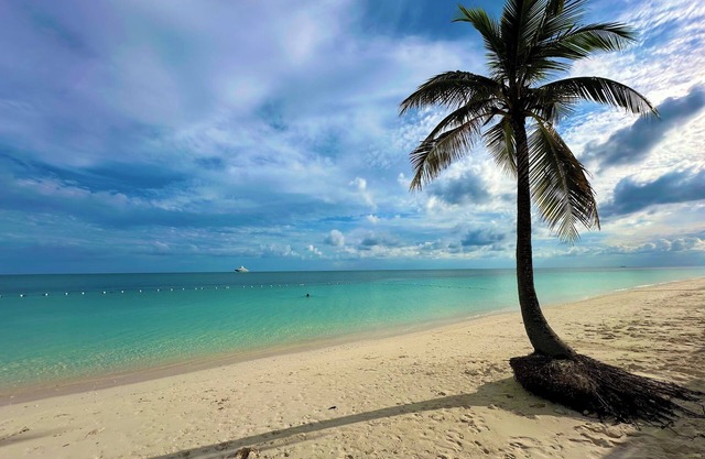Palm Tree Cove - Stunning Partial Ocean Views; Beachfront Location!