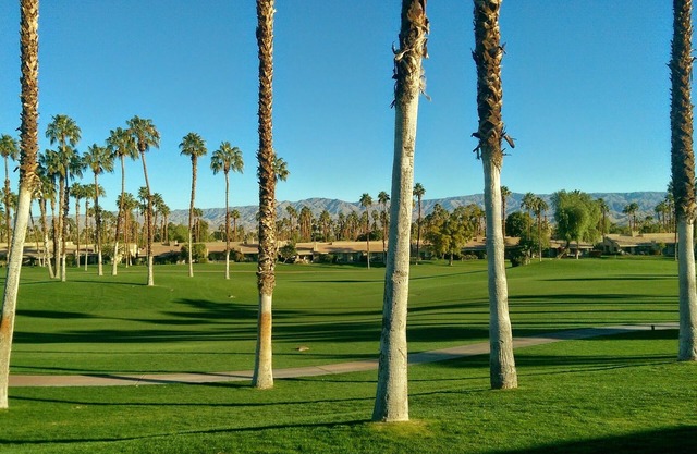 Palm Valley CC 2BR / 2BA - Feb / März 2020 jetzt verfügbar