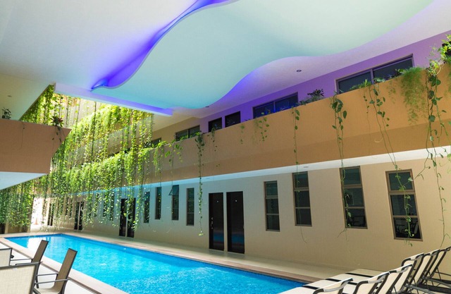 Palmarena Rooms and Residences - Long Stay Comfort with Parking, Sauna, Gym and Pool (Steps from 5th Avenue)