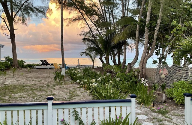 Palmetto cottage on the beach with perfect views.
