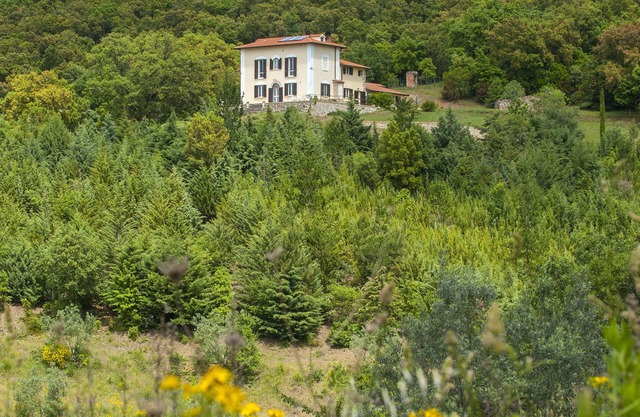 Panorama-Ferien-Toscana Ihr Feriendomizil in der Toscana