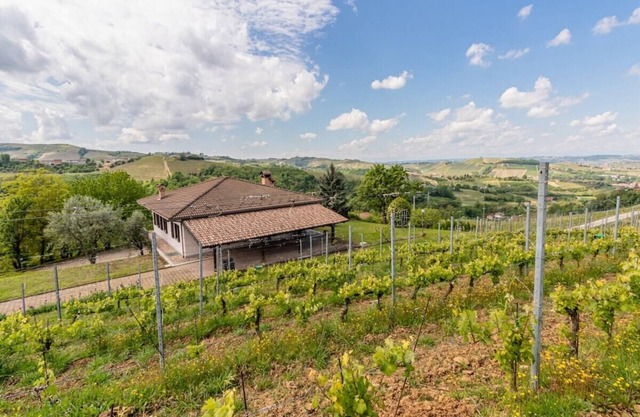Panorama villa nestled among the vineyards, Langhe