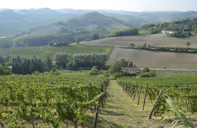 Panorama-Blick, Entspannend, FAHRRAD, FINE-Essen, Wein und vieles mehr. Bed & Breakfast in Alba