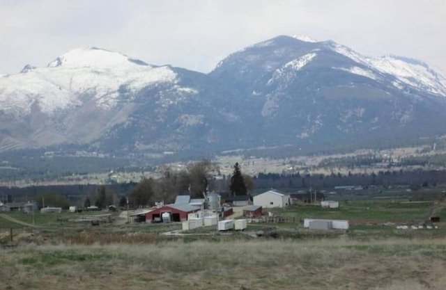 Panoramic Views & Dog Heaven on the farm