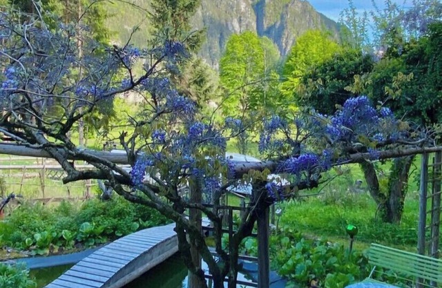 Paolas Landhaus - Vanoi Primiero Dolomiti Trentino
