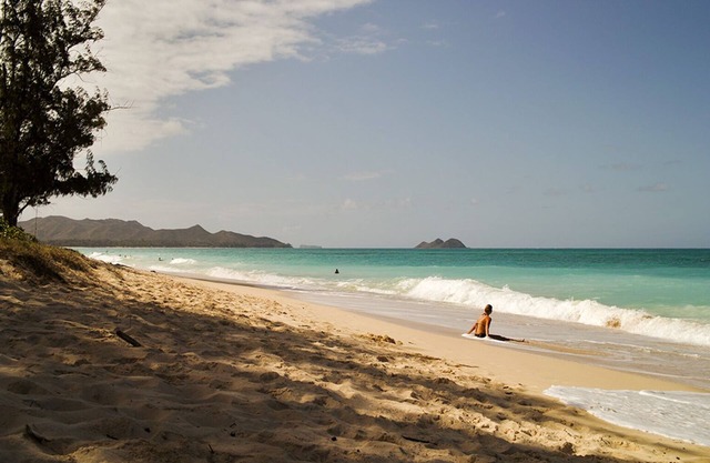 Paradise Found Waimanalo - Quiet & Private Beachside Suite with Air Conditioning