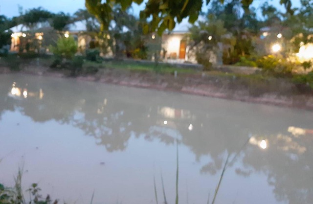Paradies-Rücksortierung bei Lamphun # 1