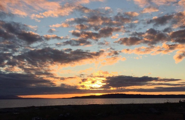 EINMAL BEI FLUT AUF WHIDBEY ISLAND