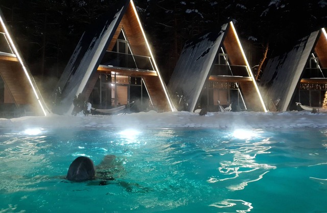 Park Hotel Surami CHALET" are located in Surami, in the middle of the forest.