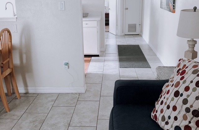 Parrot Paradise Sarasota +Low cleaning fee+ near Beach, Pinecraft, Airport.