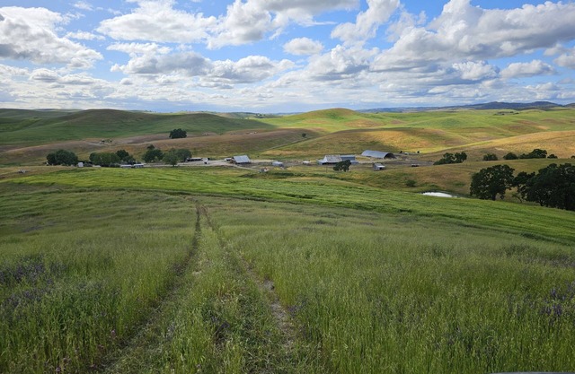 Paso Robles Ultimate Farm Stay! Country Oasis!! Very Unique!!!
