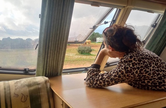 Ein sehr gepflegter englischer Wohnwagen für 4 Personen mit allen Annehmlichkeiten und Blick auf die Pferde
