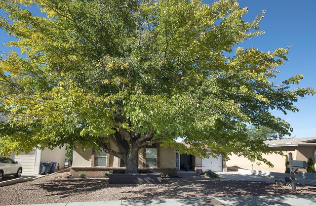 Peaceful 3-bedroom near the Albuquerque Foothills