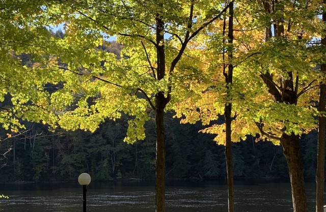 Friedliche Adirondack Waterfront