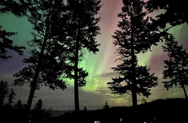Peaceful Bay Overlook - Lower - Blocks away from Flathead Lake - 45mi to GNP