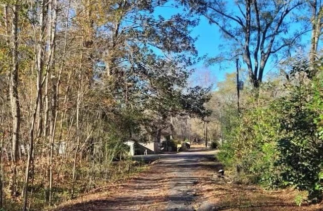 Peaceful Cabin @ Ebenezer Creek