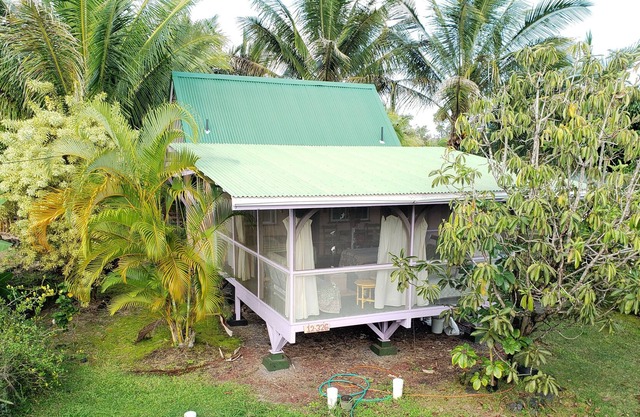 Peaceful Cabin on the Puna Coast