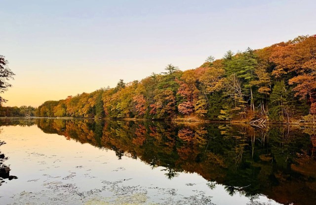 Peaceful Catskills Creek House