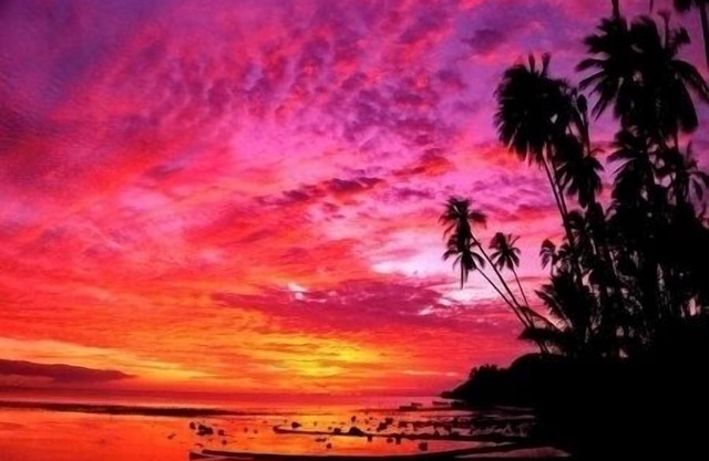 Peaceful Cove Free Parking Near Beach